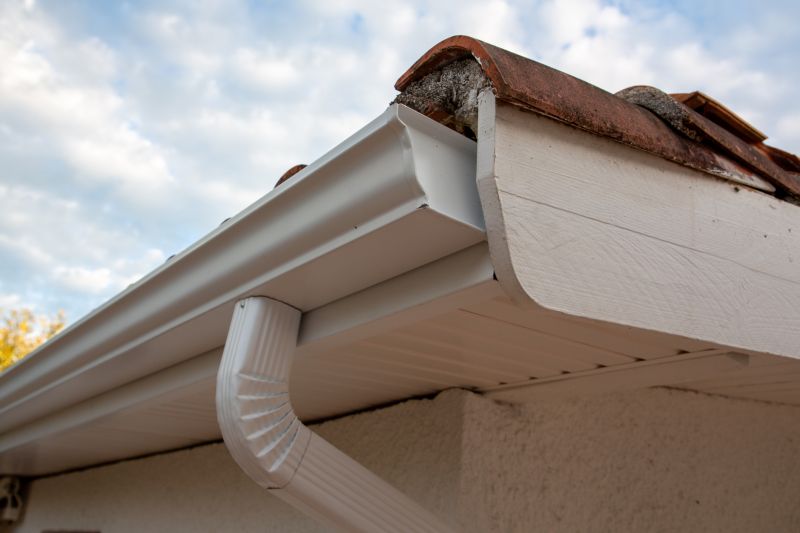 Gutter System Inspectors